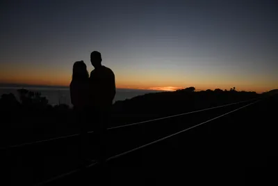 DSC_2564 (Large).JPG